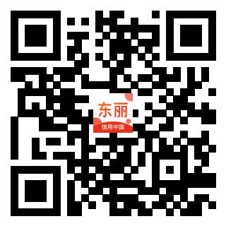 可视化信用二维码